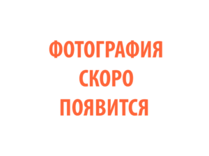 Фото 76 - Горелка TECH MS 400.